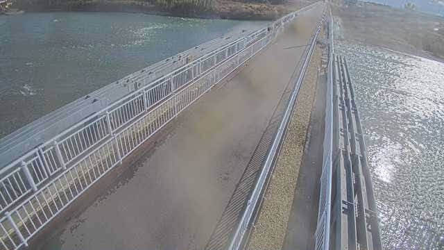 川島大橋 歩行者用仮橋右岸ライブカメラ